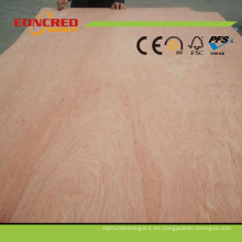 Calidad 18 mm Bintangor madera contrachapada en China